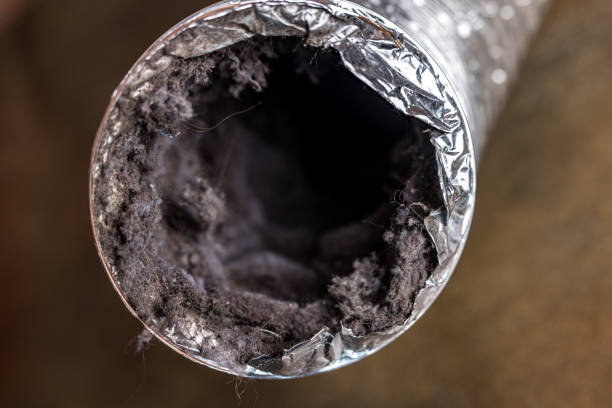 Best Dryer Vent Cleaning Services  in York, AL