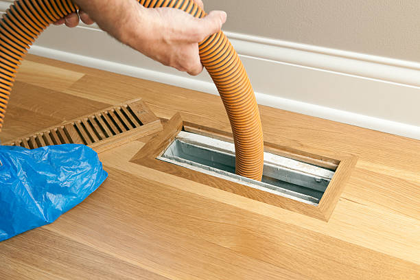 Best Local Air Duct Cleaning Services  in York, AL